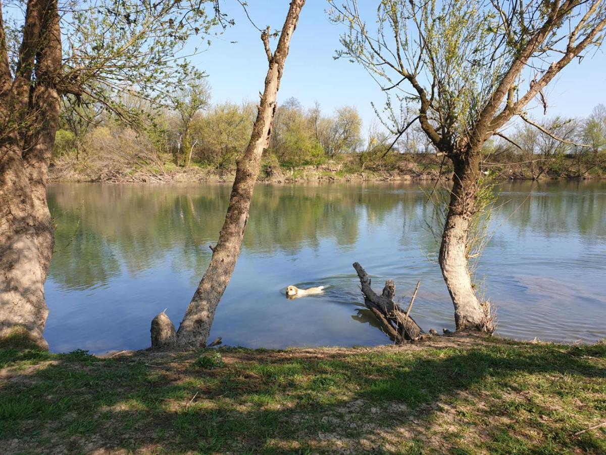 Guest House Studio Apartman Marina - With Jacuzzi, Free Parking, Pet Friendly Karlovac Bagian luar foto