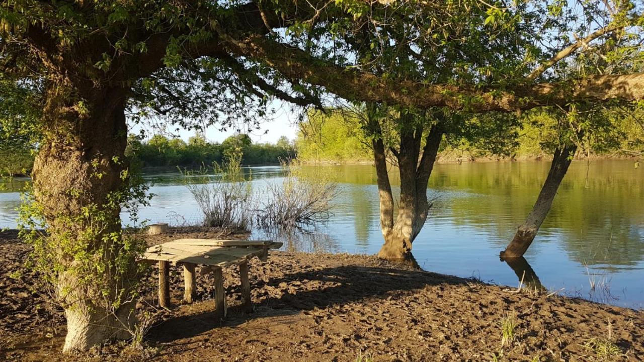 Guest House Studio Apartman Marina - With Jacuzzi, Free Parking, Pet Friendly Karlovac Bagian luar foto
